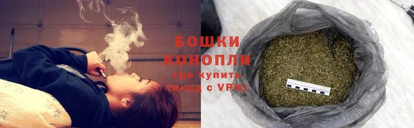 PSILOCYBIN Семилуки