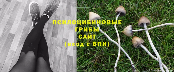 PSILOCYBIN Семилуки