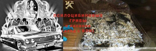 PSILOCYBIN Семилуки