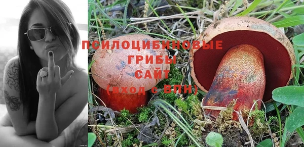 PSILOCYBIN Семилуки