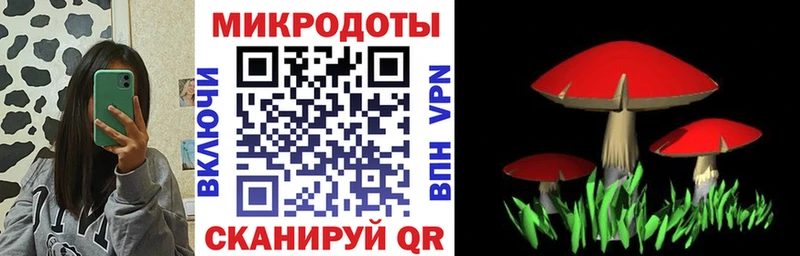 Псилоцибиновые грибы Psilocybe  Снежногорск 